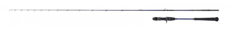 Spiningas Savage Gear Casting DEFIANCE SG6 Tai Rub