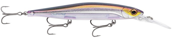 Bold Shad