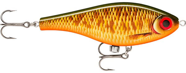 Scaled Roach