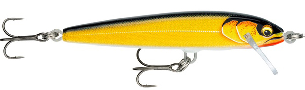 Gilded Gold Shad