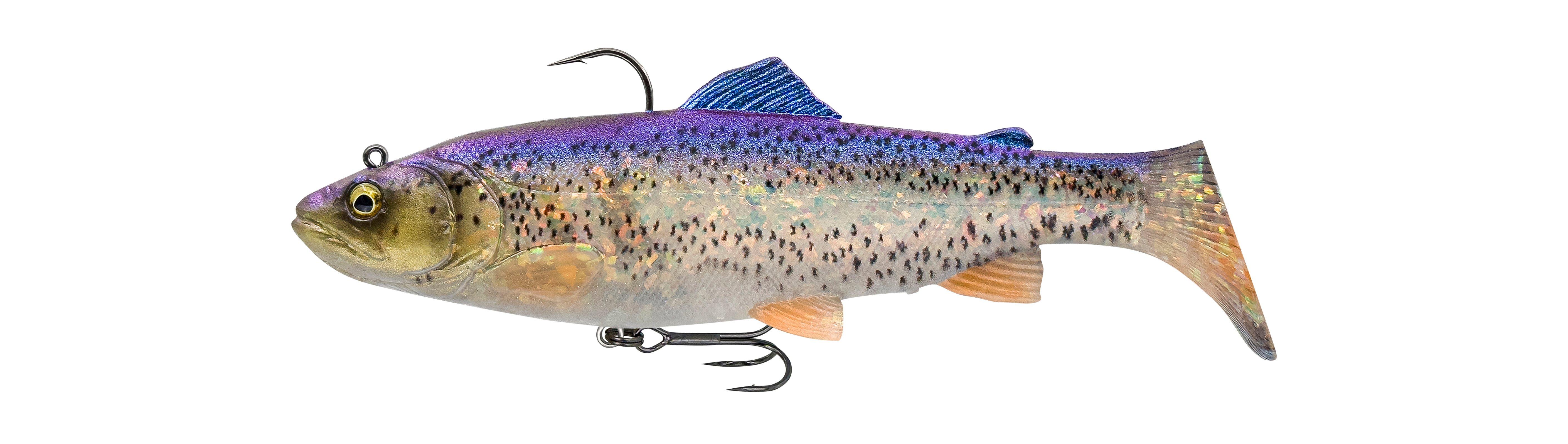 Cl Bl Trout