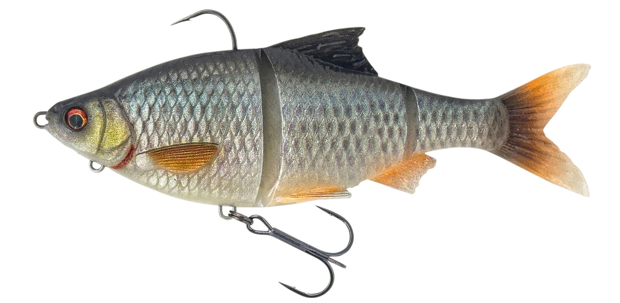 ROACH