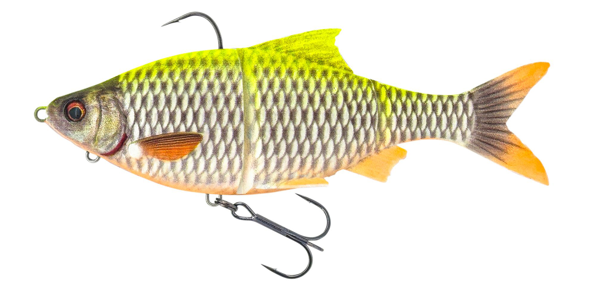 LEMON ROACH