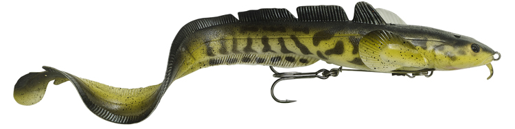Burbot