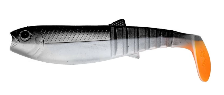 Black Shad