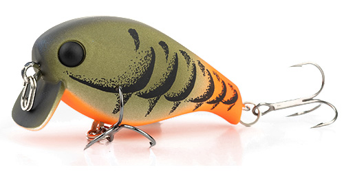 Moss Craw
