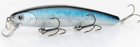 Aurora Black