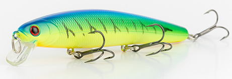 Blue Chart Tiger