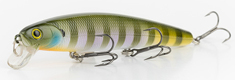 Natural Bream