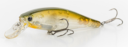 Aurora Ghost Shad