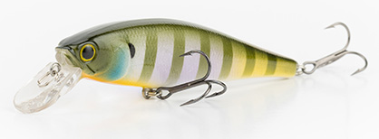 Natural Bream