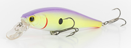 Table Rock Shad