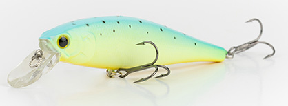 Chartreuse Sea Trout