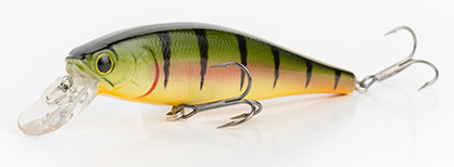 Northern Yellow Perch