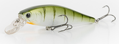 Green Perch