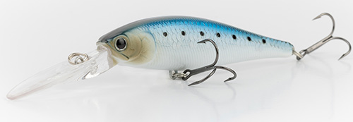 Super Glow MS Sardine
