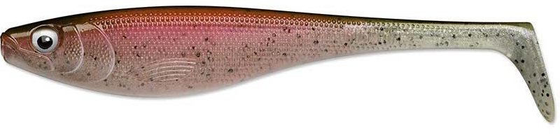 Live Rainbow Trout