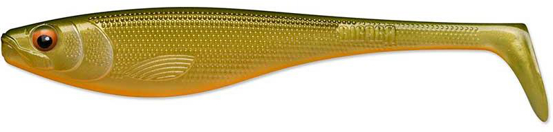 Scaled Roach