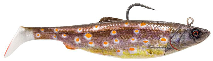 Plaice